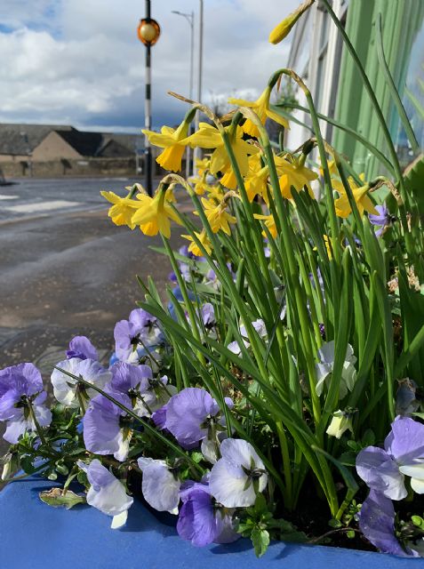 Cupar Road, manna